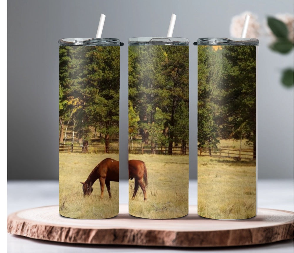 Colorado Horse Tumbler