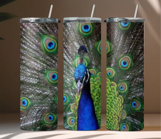 Peacock Tumbler photo by Val Cooley